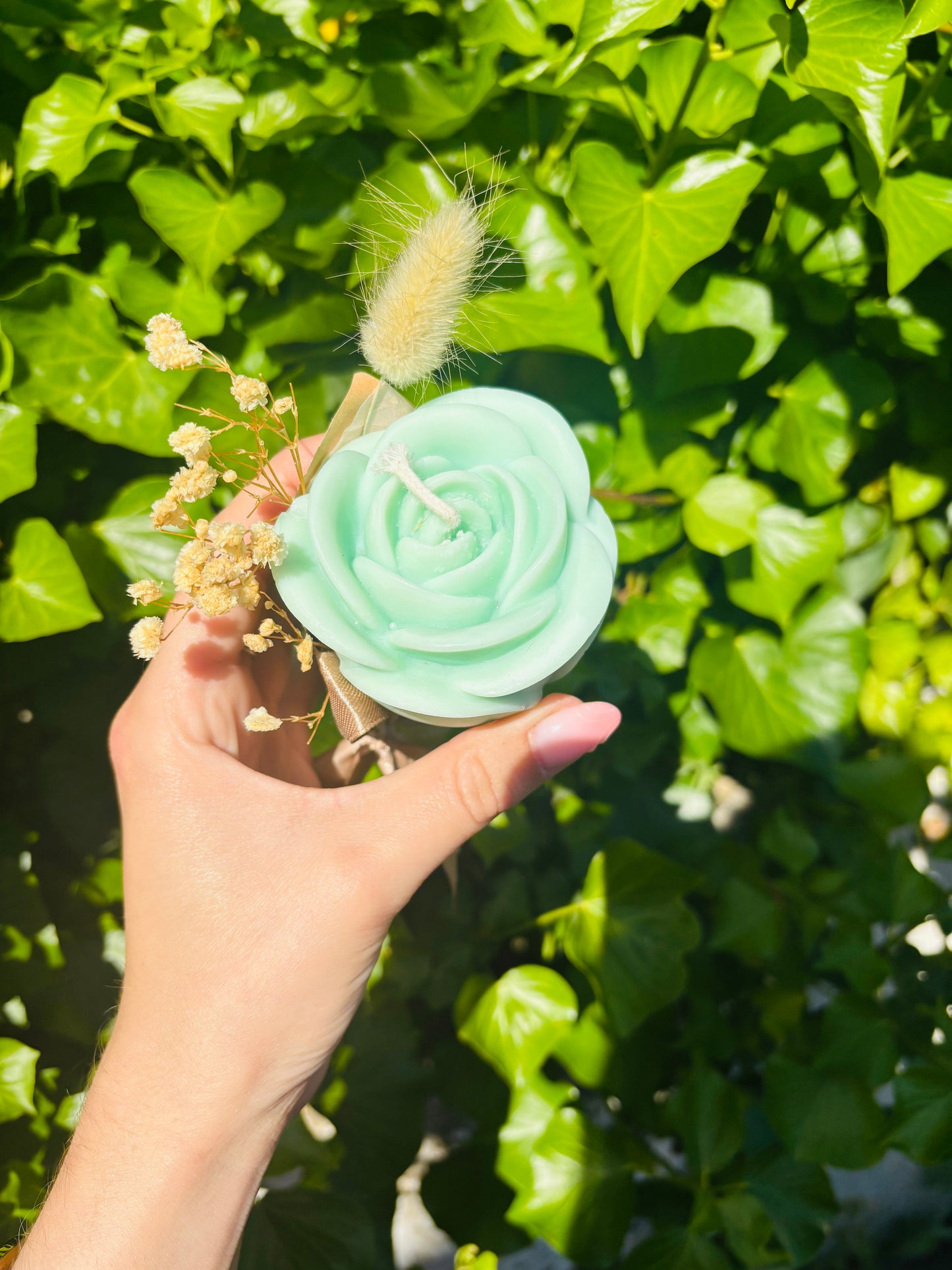 Rose éternelle - Linge frais 🍃