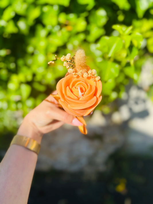Rose éternelle - Mangue papaye 🥭